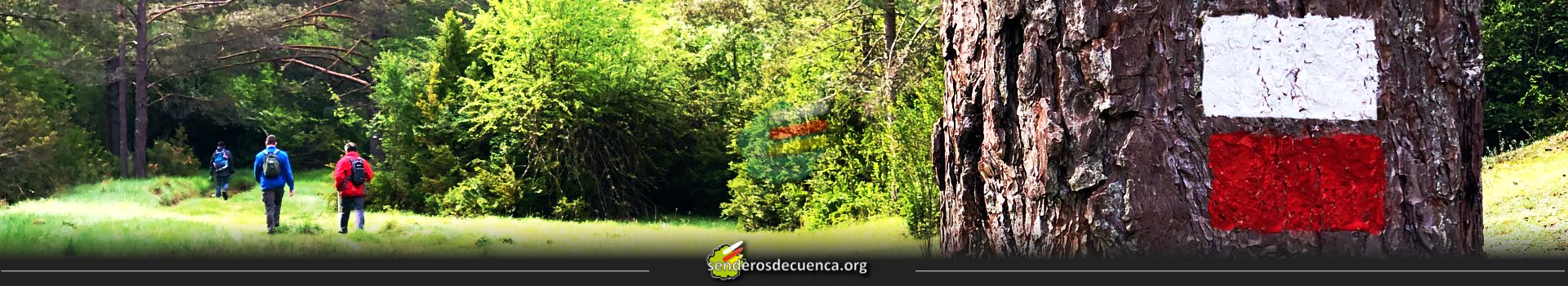 Circuito de Senderismo - Quinta actividad puntuable 2025