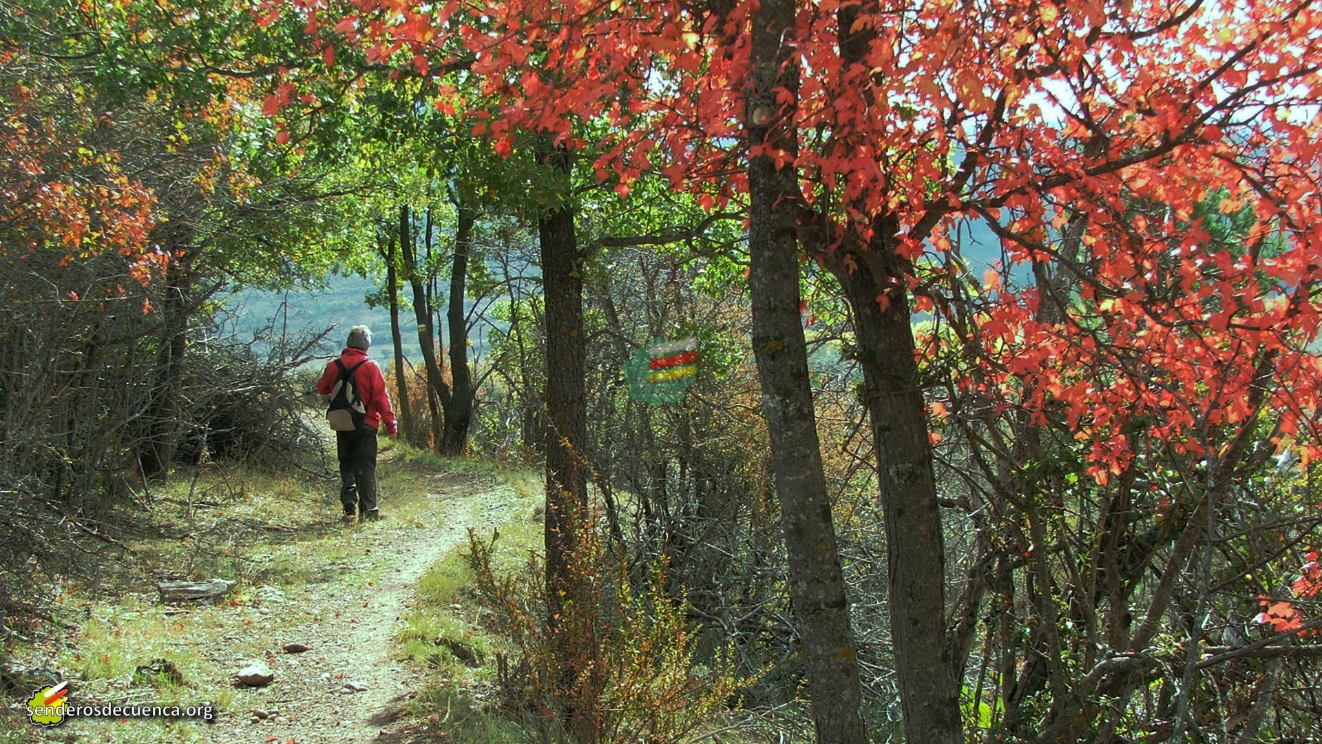 Consejos para el caminante