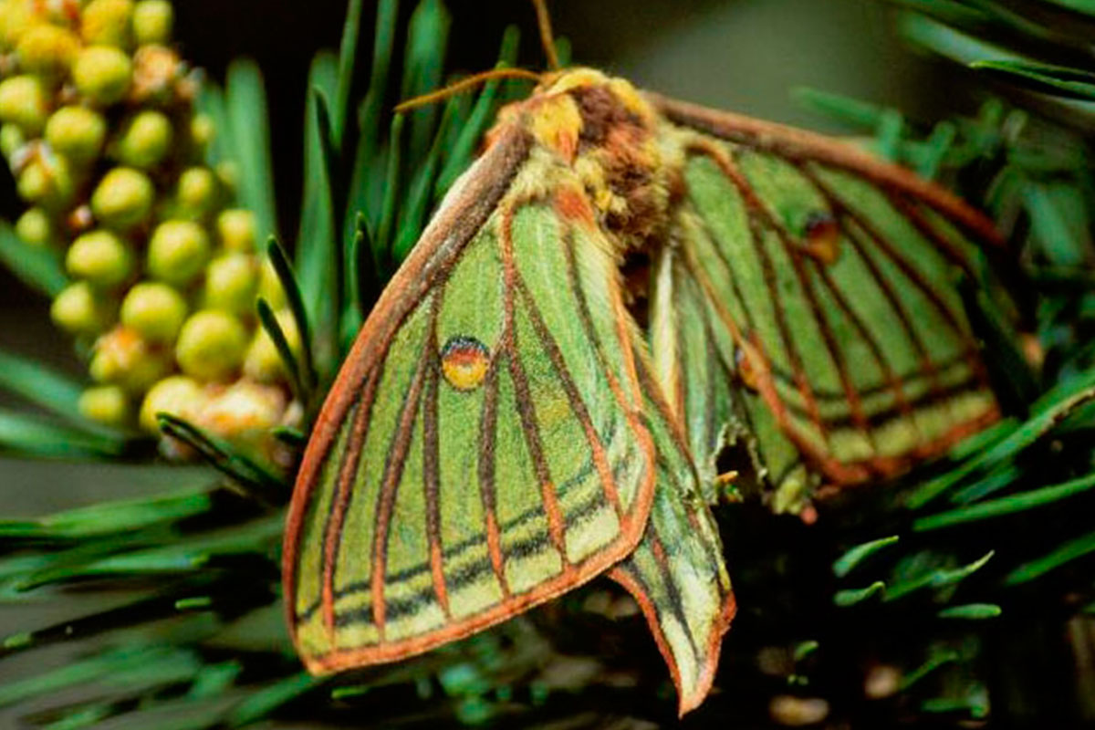 Senderos de Cuenca | Senderos Isabelina